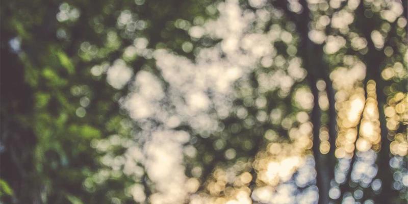 IPv6规模化部署：网络安全、云服务与数字化转型的关键机遇