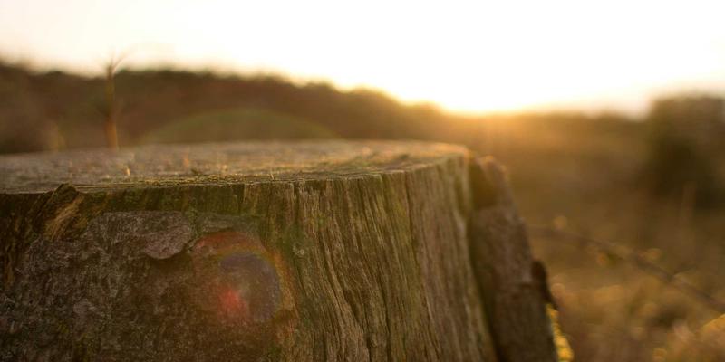 企业数字化转型加速器：如何选择与部署高效IT解决方案