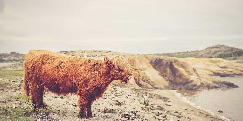 数字化转型加速器：网络虚拟化技术如何重塑云计算环境下的IT解决方案