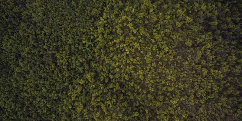 数字化转型浪潮下，网络安全与IT解决方案的协同评测