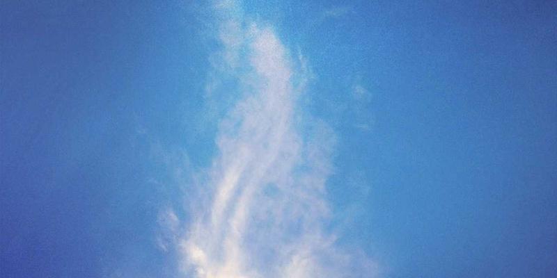 网络功能虚拟化（NFV）与云原生网络功能的演进与实践：驱动企业数字化转型的核心网络技术