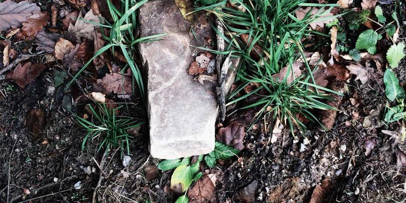 网络功能虚拟化：电信运营商核心网转型的网络安全与IT解决方案