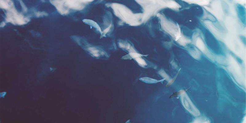 网络即服务（NaaS）：以云化网络重塑企业广域网与分支机构运营，赋能数字化转型与网络安全