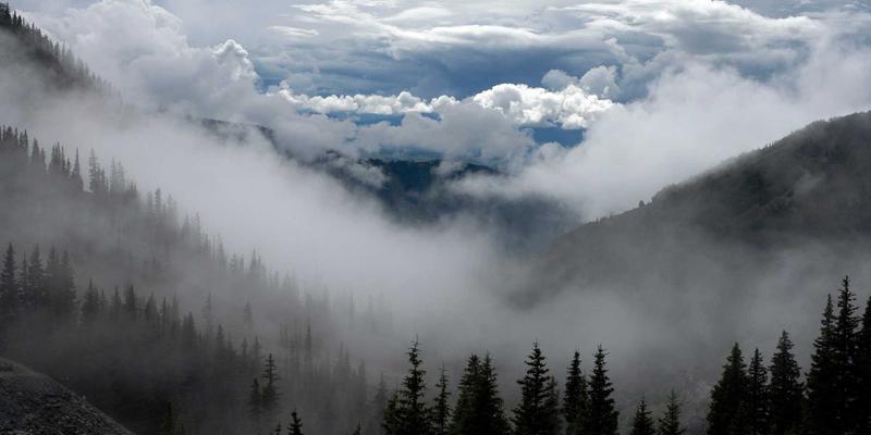 网络安全：企业数字化转型的基石与护航者