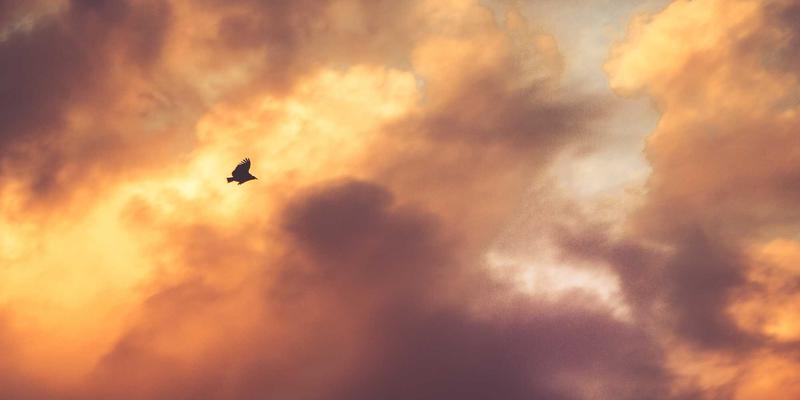 网络性能监控与故障诊断：驱动数字化转型的关键IT解决方案