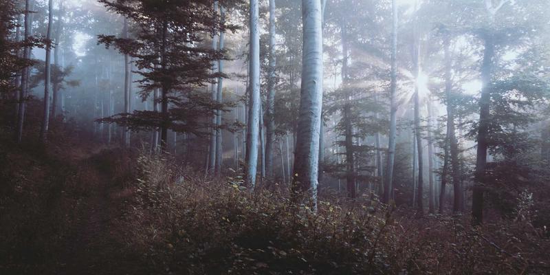 网络技术43:网络安全如何护航企业数字化转型与云服务落地