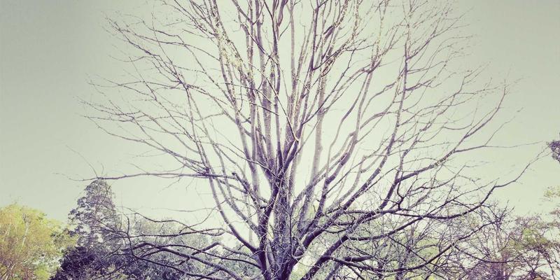 网络技术80：数字化转型浪潮下，云服务与网络安全的协同进化