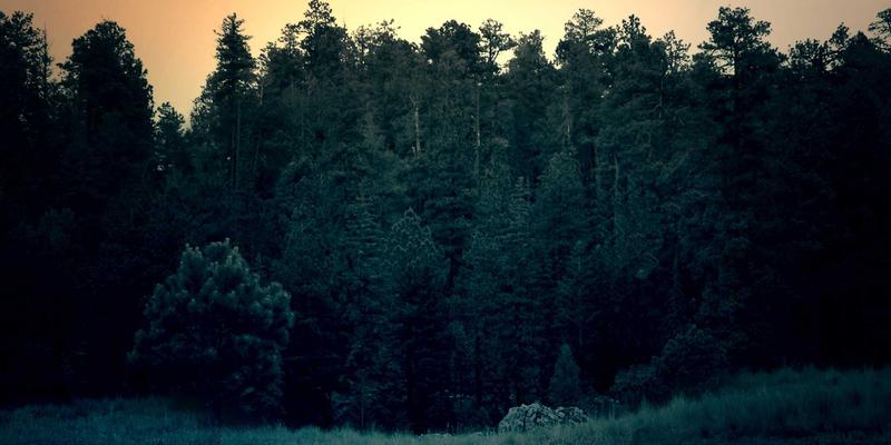 边缘计算时代：分布式网络架构如何重塑网络安全与数字化转型